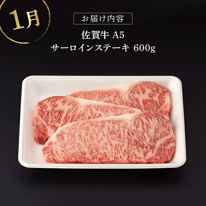 【定期便】 牛肉 佐賀牛 冬の定期便 NAB109 牛肉