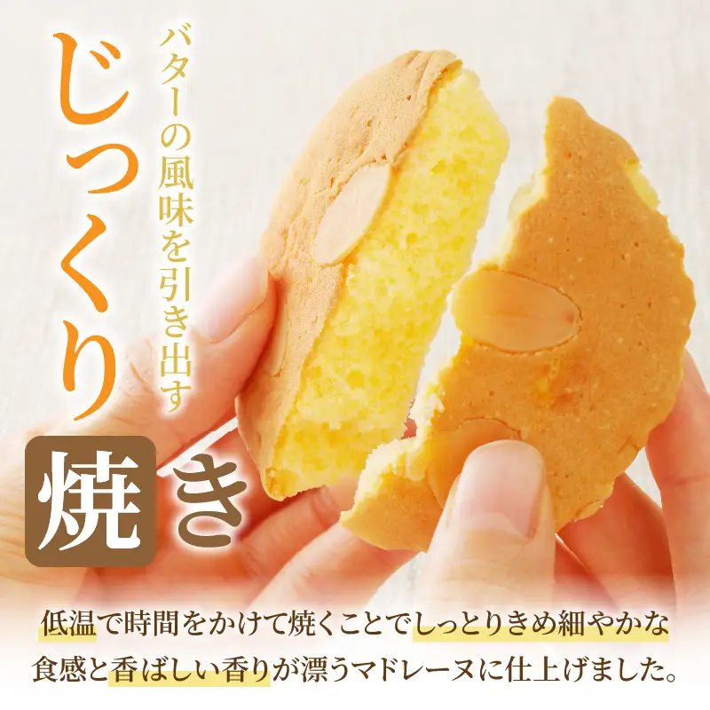 【2週間以内発送】老舗菓子舗のマドレーヌ計8個 焼き菓子 スイーツ 詰め合わせ 洋菓子_T035-0016