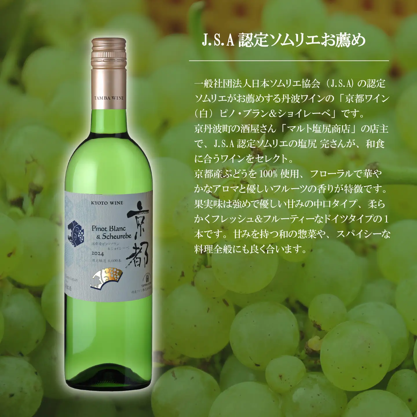【定期便】丹波ワイン 12カ月 定期便 ［340SJ001R］
