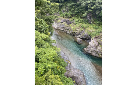 （冷蔵）　鮎　約1kg／大森水産　あゆ　お取り寄せグルメ　川魚　和食　三重県　大台町