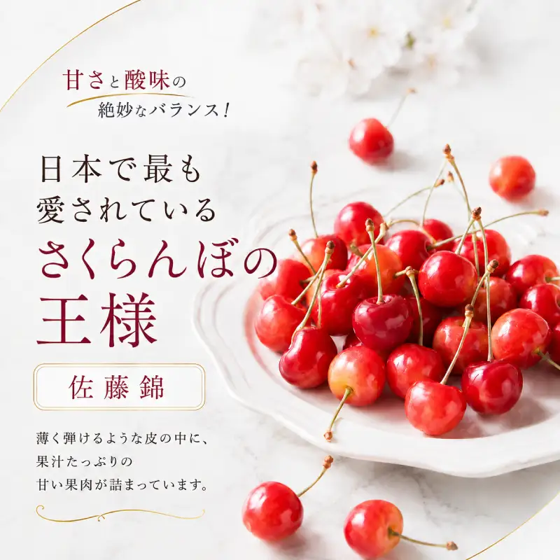 さくらんぼ 500g 佐藤錦 M-L混合 サクランボ