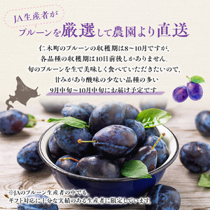[2026年発送] 北海道 仁木町産 季節のプルーン 800g（400g×2パック） プルーン 果物 くだもの フルーツ 果物類 詰合せ [JA新おたる] 