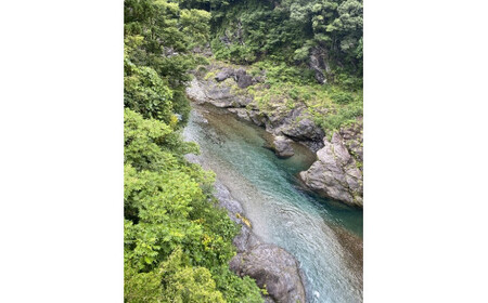 （冷蔵）　鮎　約1.4kg　／大森水産　あゆ　お取り寄せグルメ　川魚　和食　三重県　大台町