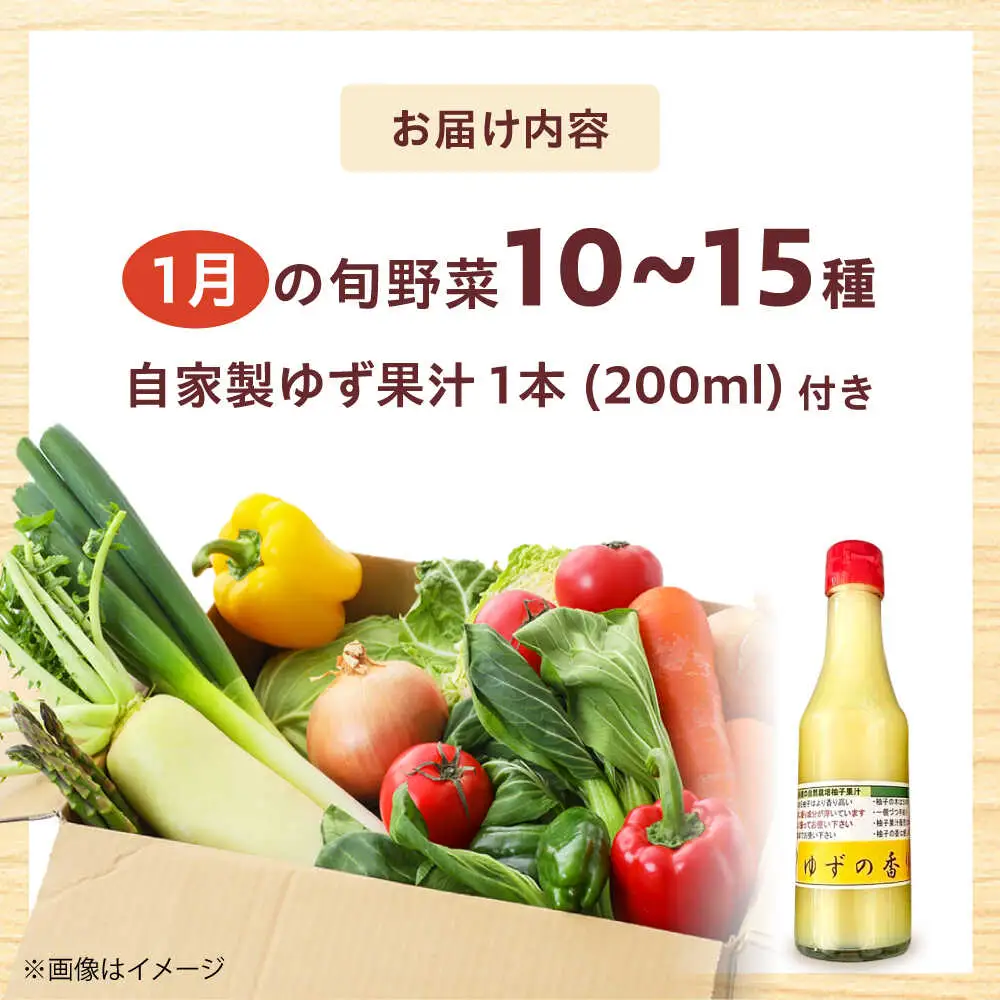 高槻野菜詰め合わせ 1月（10〜15種）＆農家さん自家製ゆず果汁[AOCS003] 野菜