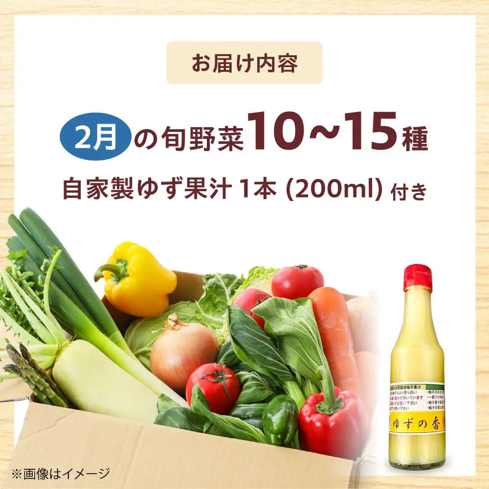 高槻野菜詰め合わせ 2月（10〜15種）＆農家さん自家製ゆず果汁[AOCS004] 野菜