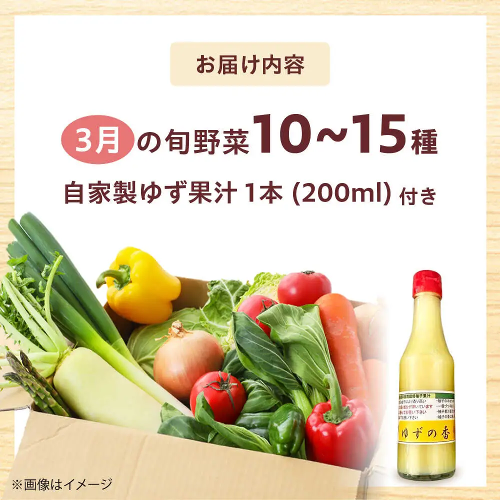 高槻野菜詰め合わせ 3月（10〜15種）＆農家さん自家製ゆず果汁[AOCS005] 野菜