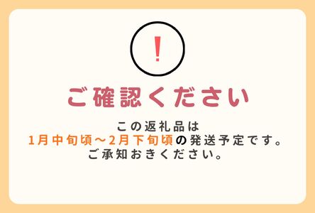 J18　市田柿　家庭用約1kg（500g×2）