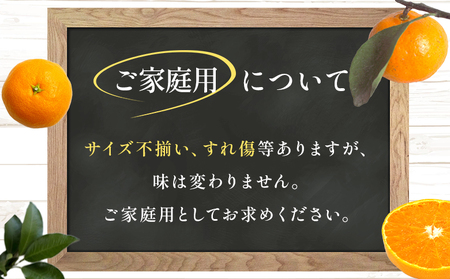 【先行予約】＜【訳あり】 玉やま農園直送 せとか 家庭用 約5kg ＞ 数量限定 期間限定 5キロ みかん ミカン 蜜柑 柑橘類 フルーツ 果物 果実 くだもの 特産品 甘い ジューシー 旬 ご自宅用 訳アリ 愛媛県 西予市 【常温】『2027年3月上旬～3月下旬迄に順次出荷予定』MTN0003
