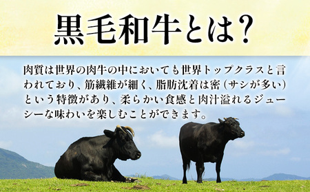 メンチカツ 黒毛和牛メンチカツ 約120g×6個 絶品 ブランド牛 黒毛和種 有限会社トップルーフ《30日以内に出荷予定(土日祝除く)》熊本県 大津町 送料無料 st-p