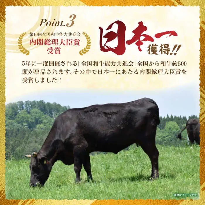 長崎和牛 ローストビーフ 400g / 長崎県産 長崎和牛 牛肉 和牛 牛 ローストビーフ ろーすとびーふ / 諫早市 / 有限会社長崎フードサービス [AHDD003]
