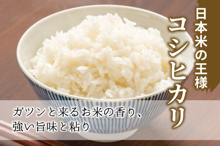 お好みに合わせて精米！令和6年産 コシヒカリ 玄米 12kg 新米 先行受付 東白川村産 お米 こめ 10000円 一万円