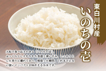 お好みに合わせて精米！ 令和6年産 いのちの壱 玄米 約6kg 新米 先行予約 お米 ご飯 10000円 一万円