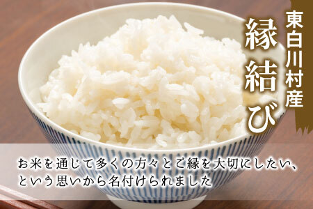 お好みに合わせて精米！ 令和6年産 縁結び 玄米 約9kg 新米 先行受付 お米 ご飯 10000円 一万円