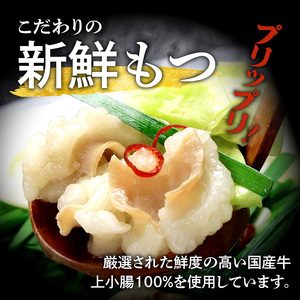 博多もつ鍋セット（まぼろしの味噌仕立て）4～6人前 _KBC1605