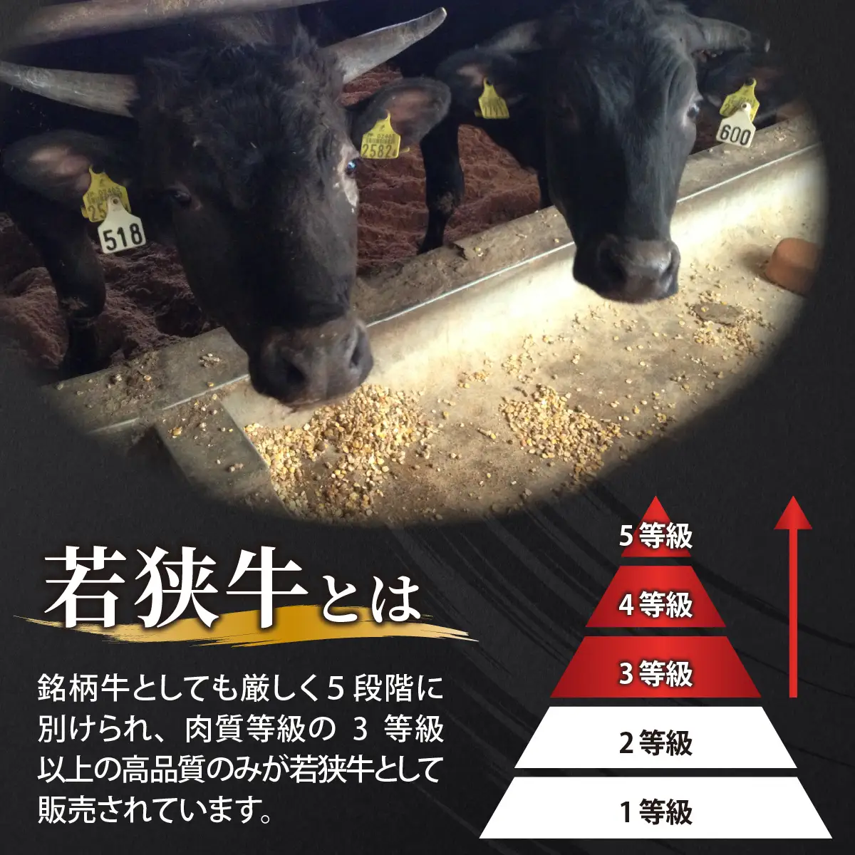 若狭牛A5ランクお試しセット[B-037010]