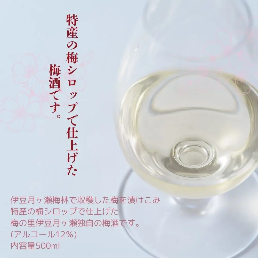 伊豆の月ヶ瀬で人気の梅シロップが今度はお酒になりました！ 伊豆月ヶ瀬の梅でつくった梅酒２本セット
