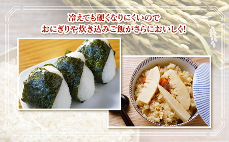 【6ヶ月定期便】【令和6年度米】「魚津のミルキークイーン（晃米）」5kg（白米） ｜新米 環境配慮 MK農産 お米 ブランド米 銘柄米 精米 ご飯 おにぎり 産地直送 甘み 粘り もちもち ※2024年10月下旬頃より順次発送予定 ※北海道・沖縄・離島への配送不可