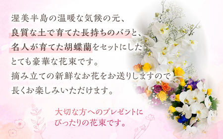 器に盛ったランとバラのアレンジ M 花 薔薇 胡蝶蘭 花