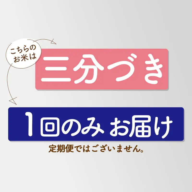 【3分搗き】あきたこまち 5kg 秋田県産 令和7年産 こまちライン