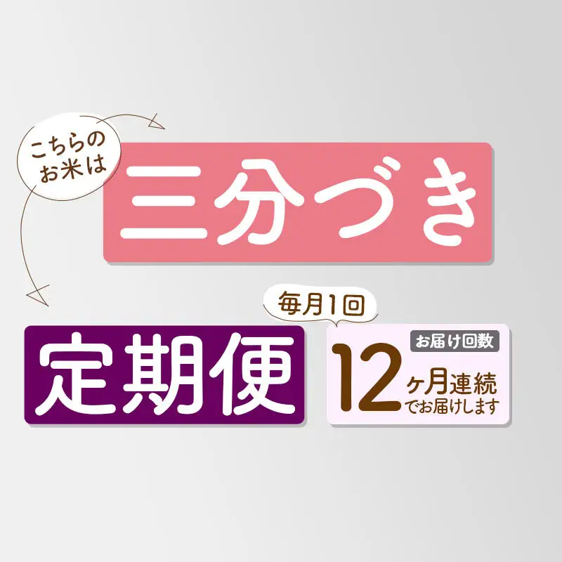 《定期便12ヶ月》【3分搗き】あきたこまち 20kg 秋田県産 令和7年産 こまちライン