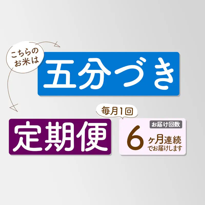 《定期便6ヶ月》【5分搗き】あきたこまち 10kg 秋田県産 令和7年産 こまちライン
