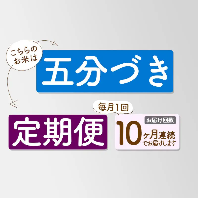 《定期便10ヶ月》【5分搗き】あきたこまち 10kg 秋田県産 令和7年産 こまちライン