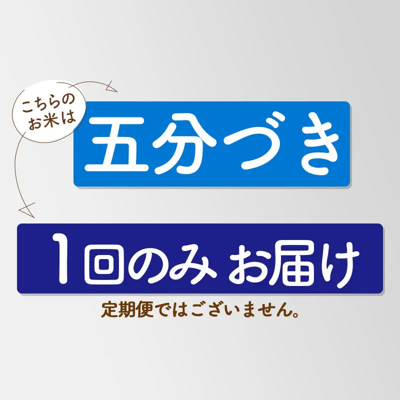 【5分搗き】あきたこまち 20kg 秋田県産 令和7年産 こまちライン