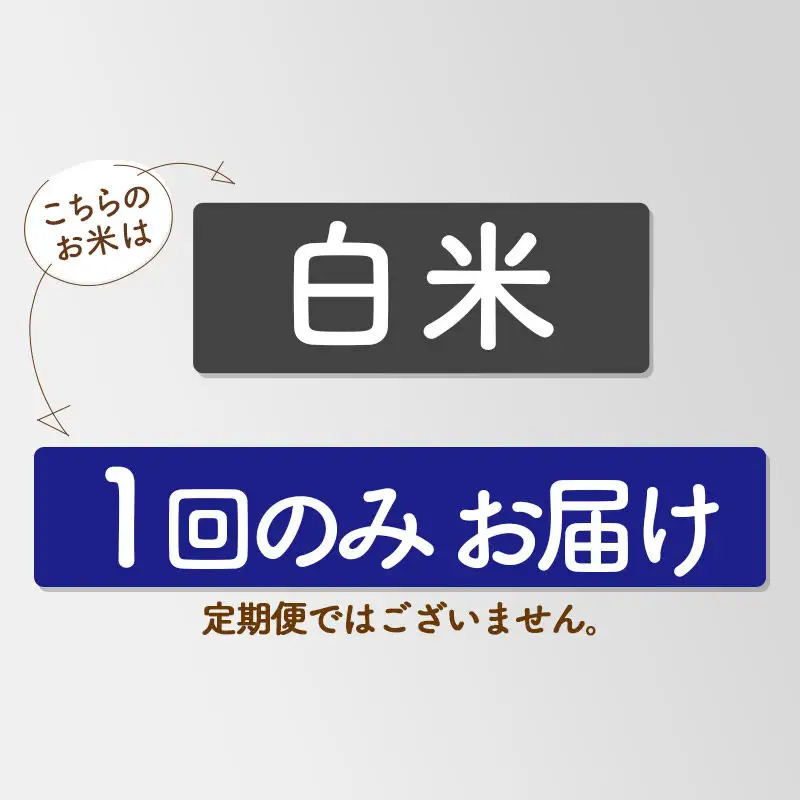 【白米】家計お助け米 あきたこまち 20kg 秋田県産 令和7年産  こまちライン