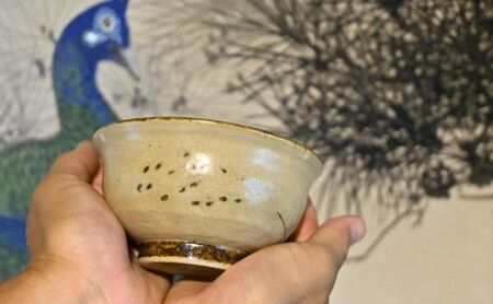 米の飯より思し召し 夫婦茶碗セット 食器 皿 器 日本製 米の飯より思し召し