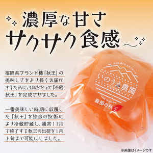 【2026年12月以降お届け】森部の冷蔵秋王プレミアム【桐箱】〔Fk108〕