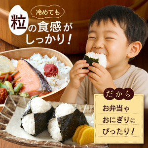 【先行予約】令和8年産 新米 【定期便3回】カワノ農園　MOA自然農法米「森のくまさん」白米5kg 米 無農薬 ブランド米 自然農法プラチナ 白米 カワノ農園 安心 安全 体に優しい 食品 送料無料【熊本県宇土市】_U70-T270_1