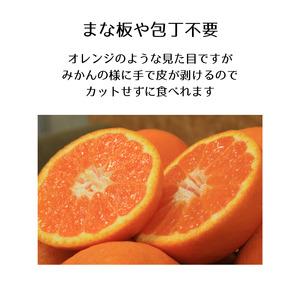 【2026年12月下旬頃から順次発送】はれひめ 約2.5kg みきゃん箱入 愛媛県産 柑橘 みかん 贈答 可愛い 愛媛県 松山市【SSK009】