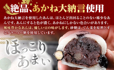 大福 塩豆大福 和菓子 豆の町から生まれた塩豆大福 本別町産 12個《7-14営業日以内に発送予定(土日祝除く)》