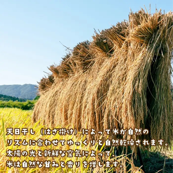 健幸農園の天日干し米10kg 白米