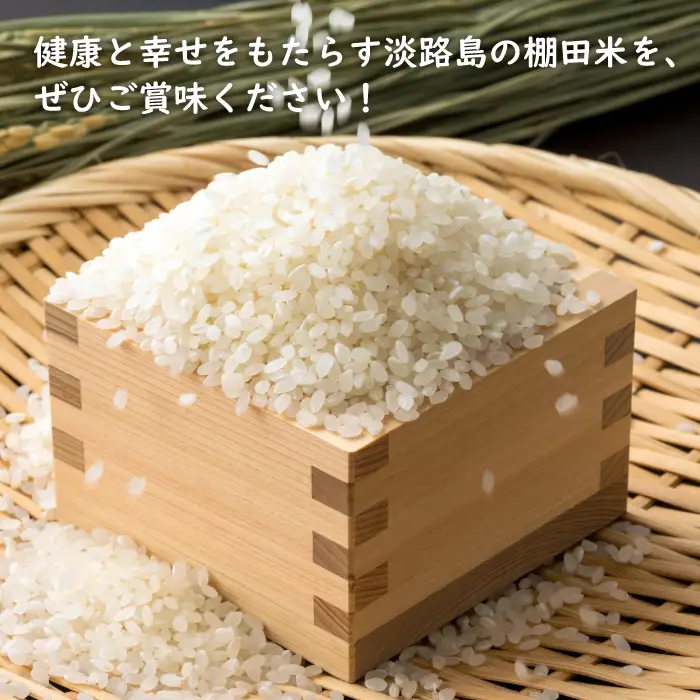 健幸農園の棚田米 10kg 白米
