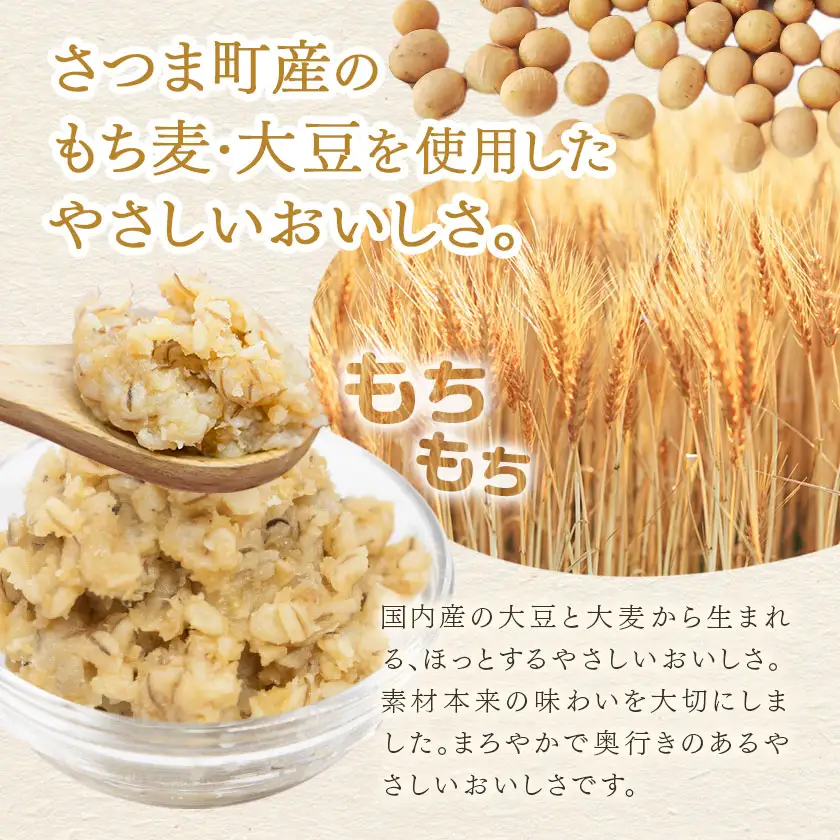 もち麦パワー味噌 計2kg (500g×4個) さつまの味《30日以内に出荷予定(土日祝除く)》