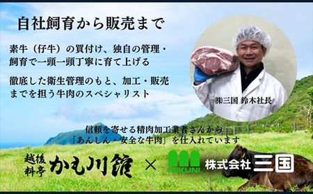 66-13C美味極上 越後牛サーロインステーキの越後味噌漬3枚入り