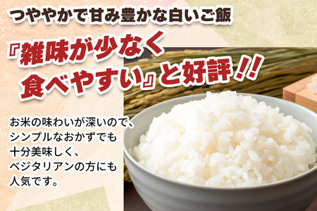 [先行予約][定期便／6回] こしひかり 合計18kg (3kg×6回) [日光ダイヤ舞／白米] 令和7年10月中旬より順次発送｜2025年度米 新米 有機栽培 オーガニック JAS有機転換中 コシヒカリ お米 ごはん 国産 産地直送 [0559]