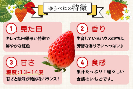 【2026年11月中旬〜順次発送】熊本県産 ゆうべに 約260g×4パック 4月終了 103-0002