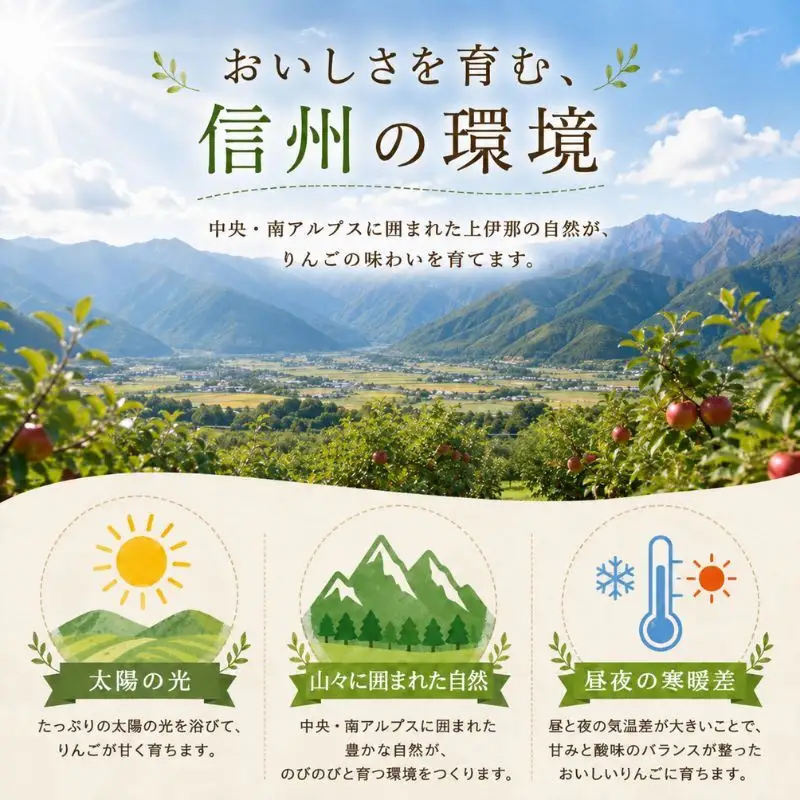 【トヨトミ】石油こんろ HH-2124(M) インテリア 防災用 強火力 簡単お手入れ ２重タンク構造 耐震自動消火装置付き 