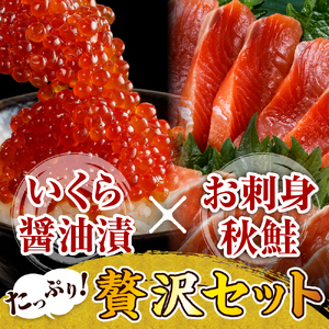 【2025年10月以降発送】鮭いくら醤油漬240gと北海道産お刺身秋鮭300g【er001-011-a】秋鮭 刺身 300g セット 海鮮丼 親子丼 国産 北海道産 魚介 海鮮 海産物 人気