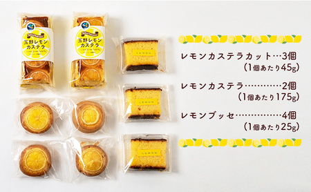 瀬戸内 レモン 焼菓子 セット (1)  お菓子