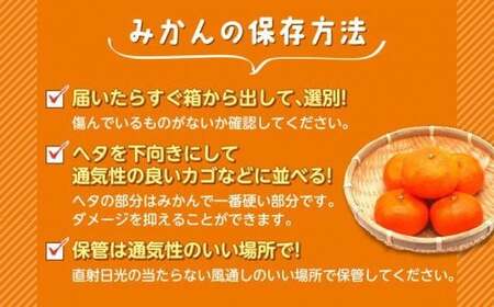 せとか 約 3kg みかん 静岡県産 せとか
