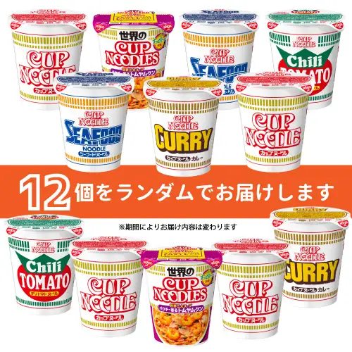【05-05-C】「インスタントラーメン発祥の地・大阪池田」お手頃ハーフサイズセット