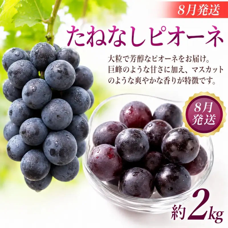 【定期便】夏の人気フルーツ定期便！桃・ピオーネ・極早生みかん（全3回）/ フルーツ 果物 もも モモ ぶどう ブドウ みかん ミカン 柑橘 旬 定期便  【tkb153】