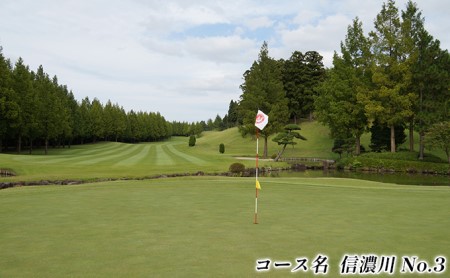 湯田上カントリークラブ利用補助券＜6枚＞ ゴルフ場利用権 ゴルフプレー スポーツ 新潟県田上町