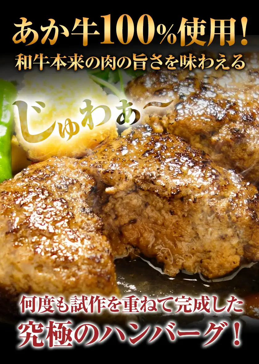 あか牛 100% ハンバーグ 合計約720g 約120g×6個 和牛 赤牛 2018年度日本ギフト大賞熊本賞受賞 おかず 惣菜 熊本県産 九州産 国産 冷凍 送料無料《30日以内に出荷予定(土日祝除く)》 