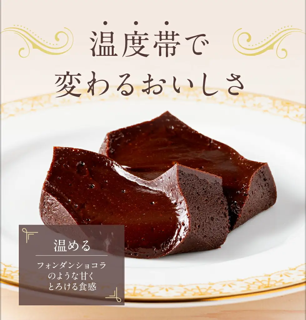 2027 オクタス テリーヌ ショコラ 2箱（ 280g × 2本 ） KN021-026-02 菓子 チョコレート ケーキ