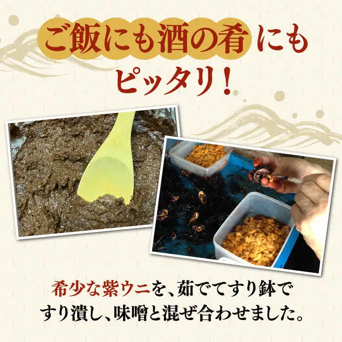 【数量限定】 うにみそ 50g×2本 《壱岐市》【鈴の海庭】 ウニ 雲丹 ウニ味噌 海産物  紫ウニ 珍味 おつまみ ご飯のお供 がぜみそ [JFV003]