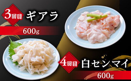 【全6回定期便】大村ホルモンセット計4.4kg / ホルモン 塩ホルモン 胃袋 焼肉 / 大村市 / 塩ホルモンろくめい[ACAO004]